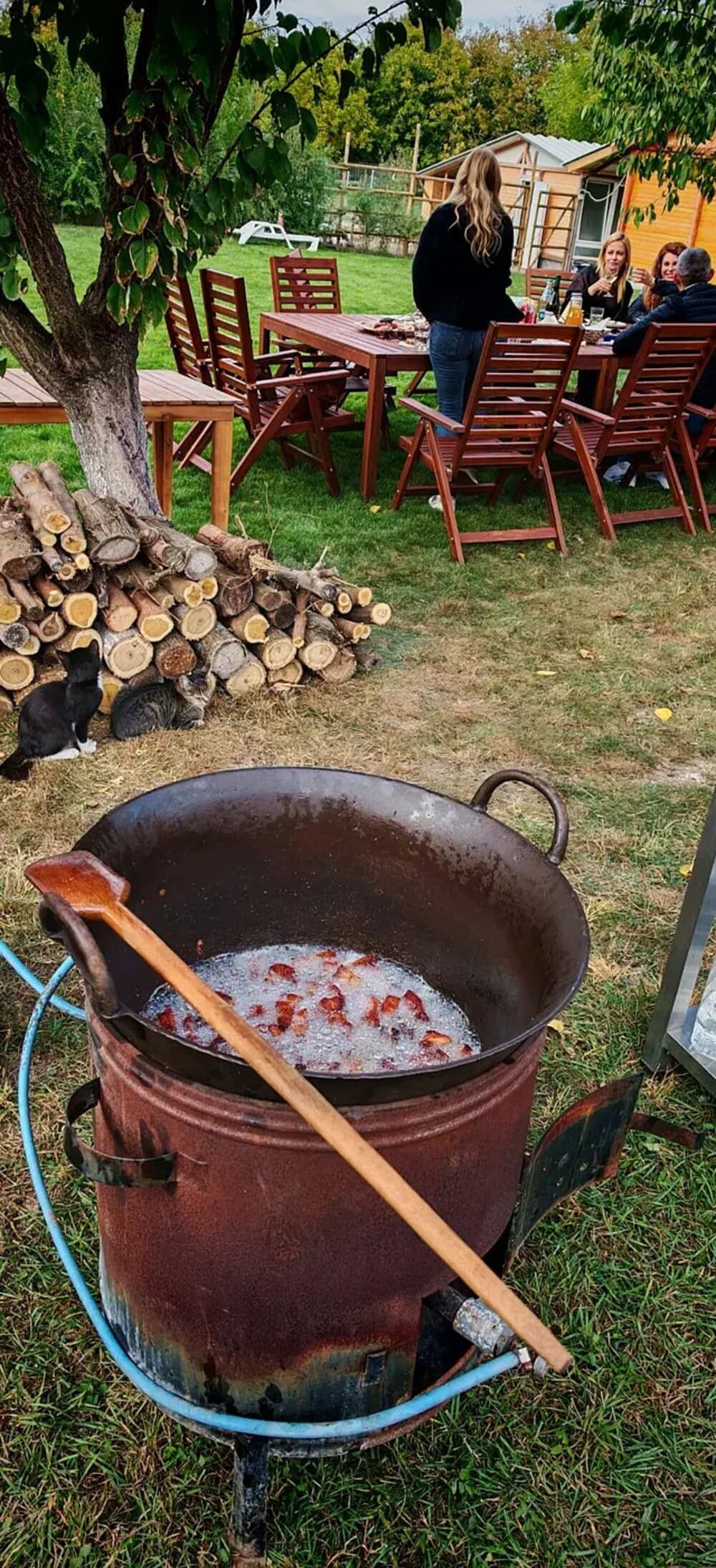 Ceaun cu tocăniță, gătit pe foc